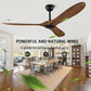 60" Ceiling Fan with Remote Control No Lights,Modern Reversible DC Motor Indoor Outdoor 3 Blades Ceiling Fans for Patio Bedroom Living Room(Black+Dark Walnut)