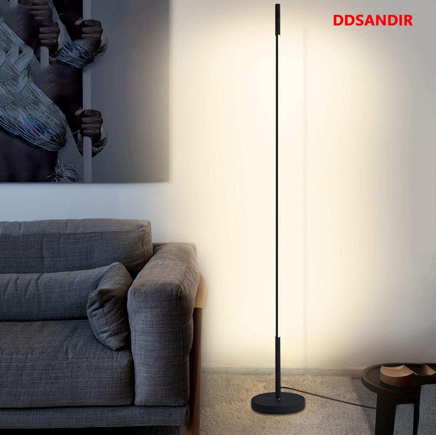 DDSANDIR Black LED Floor Lamp, Modern Nordic Design Table Lights Night Floor Lights