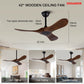 DDSANDIR Ceiling Fans for Bedrooms with Remote Control in Matte Black